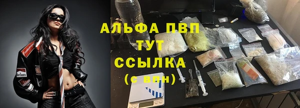 индика Балахна
