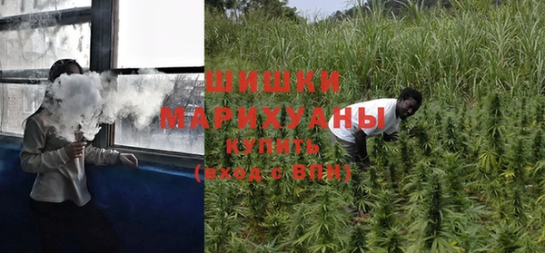 индика Балахна