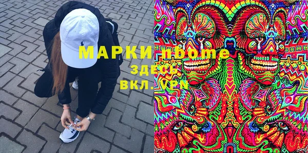 индика Балахна