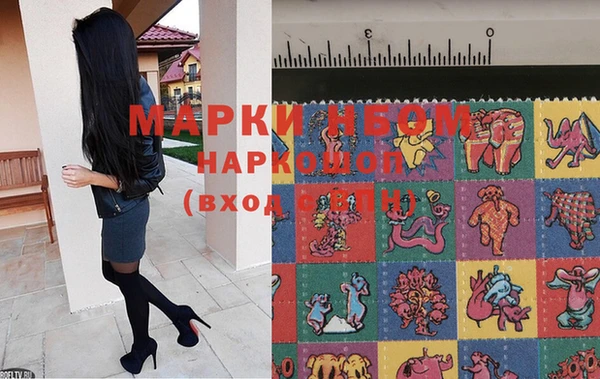 индика Балахна