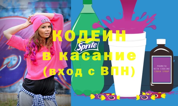 индика Балахна
