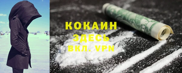индика Балахна