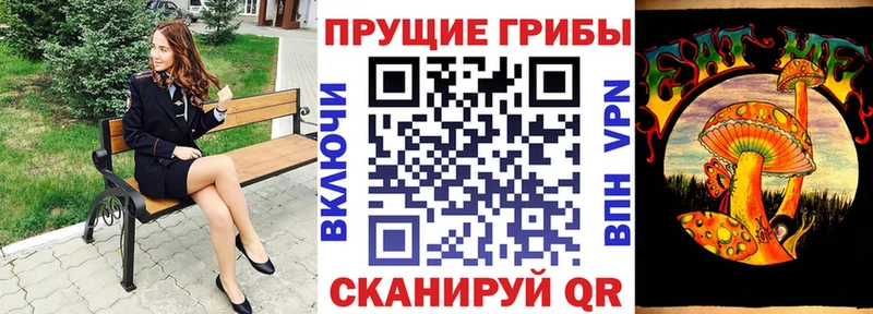 где купить наркоту  Солигалич  Галлюциногенные грибы MAGIC MUSHROOMS 